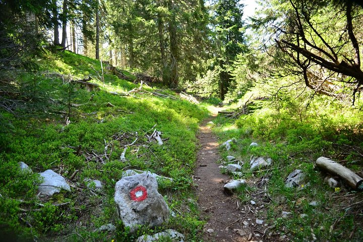 Hiking Cvrsnica mountain - Photo 1 of 2